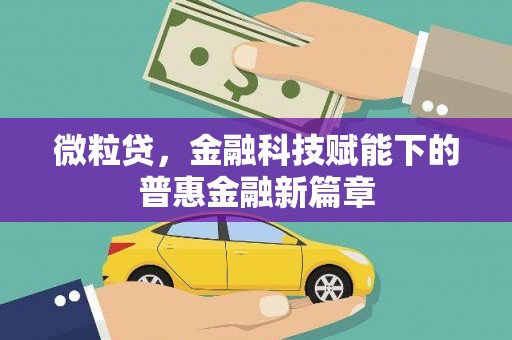 佛坪微粒贷，金融科技赋能下的普惠金融新篇章