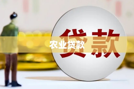 华龙农业贷款
