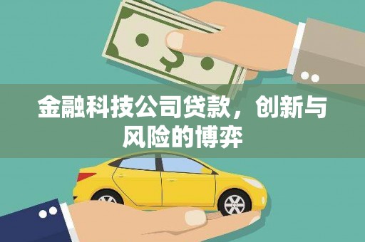 泉山金融科技公司贷款，创新与风险的博弈