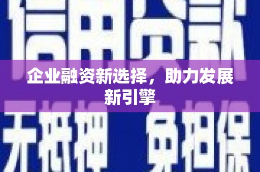 柳东企业融资新选择，助力发展新引擎