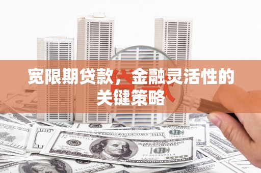 平谷宽限期贷款，金融灵活性的关键策略