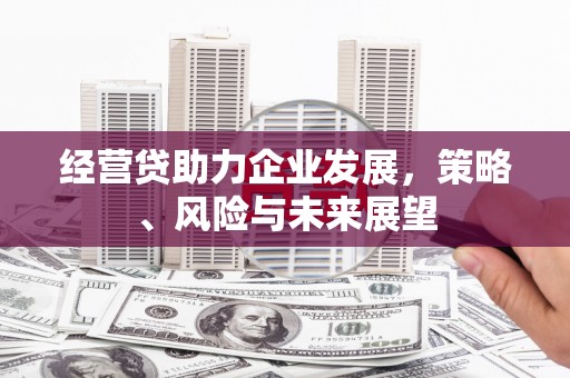 汉阳经营贷助力企业发展，策略、风险与未来展望