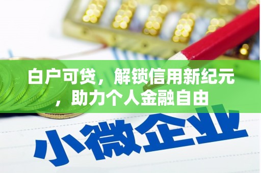 盐津白户可贷，解锁信用新纪元，助力个人金融自由