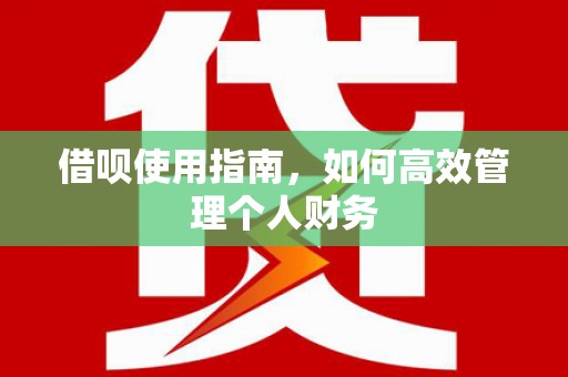 浔阳借呗使用指南，如何高效管理个人财务