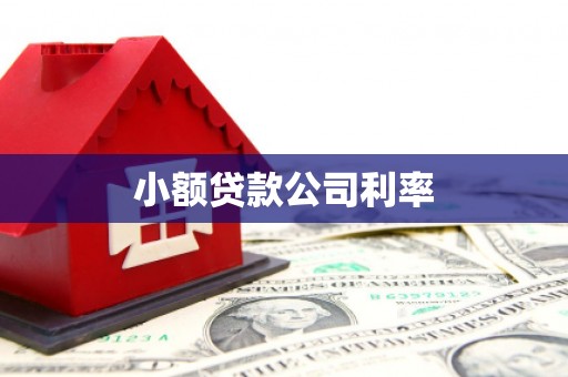 北仑小额贷款公司利率