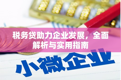 永登税务贷助力企业发展，全面解析与实用指南