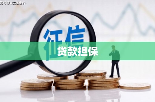 太保贷款担保