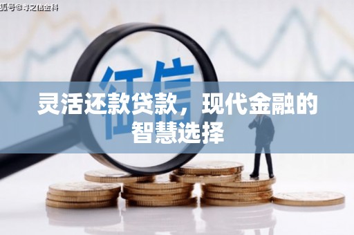 盐田灵活还款贷款，现代金融的智慧选择