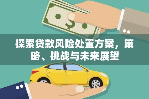 榕城探索贷款风险处置方案，策略、挑战与未来展望