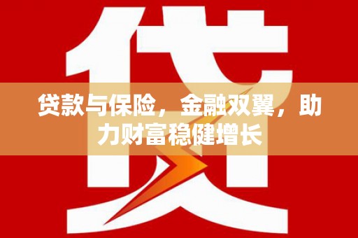 弥陀贷款与保险，金融双翼，助力财富稳健增长