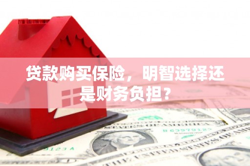 官渡贷款购买保险，明智选择还是财务负担？