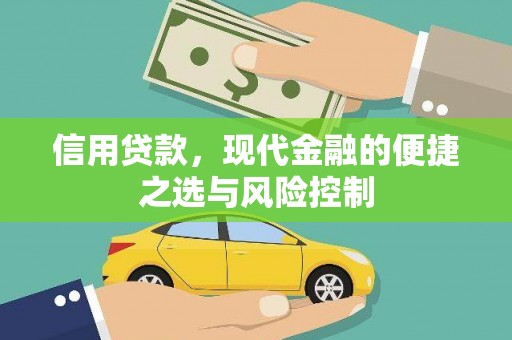 民和信用贷款，现代金融的便捷之选与风险控制