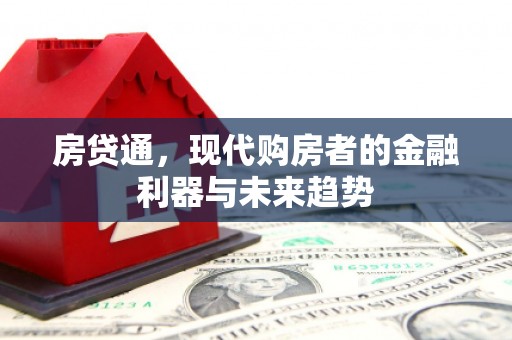 稻城房贷通，现代购房者的金融利器与未来趋势