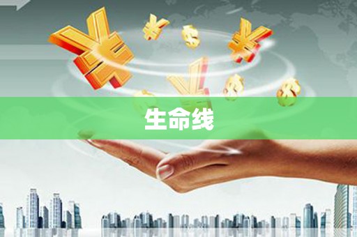 新北生命线