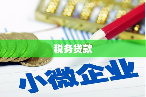 滁州税务贷款