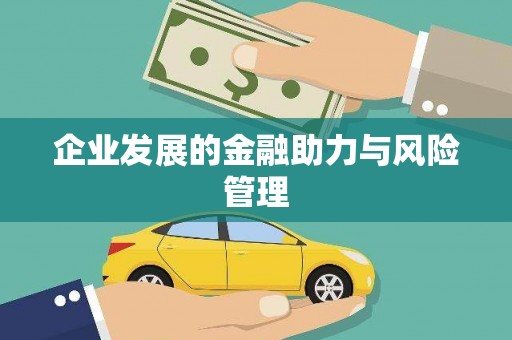 池上企业发展的金融助力与风险管理