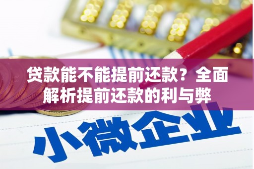 疏勒贷款能不能提前还款？全面解析提前还款的利与弊