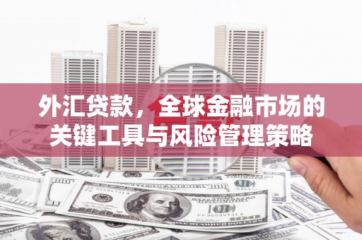 郴州外汇贷款，全球金融市场的关键工具与风险管理策略