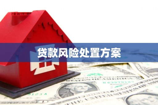 铁西贷款风险处置方案