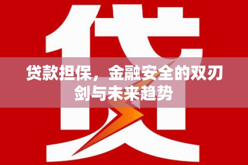 永平贷款担保，金融安全的双刃剑与未来趋势