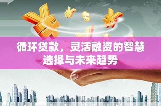 路环岛循环贷款，灵活融资的智慧选择与未来趋势