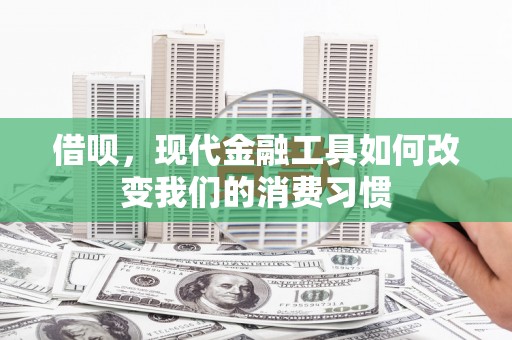 普湾新区借呗，现代金融工具如何改变我们的消费习惯