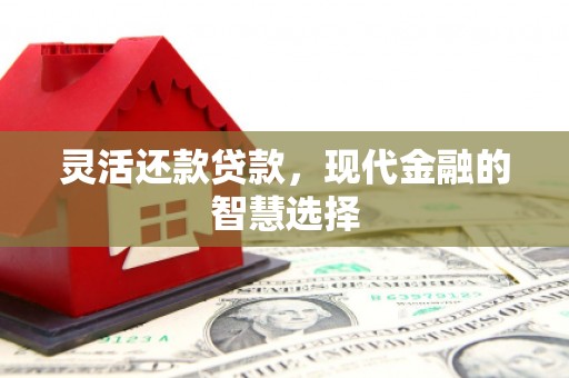 定陶灵活还款贷款，现代金融的智慧选择