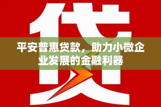 鹤庆平安普惠贷款，助力小微企业发展的金融利器