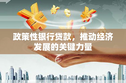 石家庄政策性银行贷款，推动经济发展的关键力量