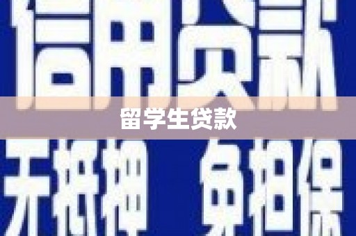 成武留学生贷款