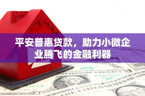 狮潭平安普惠贷款，助力小微企业腾飞的金融利器
