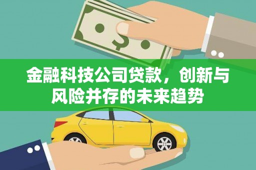 桦川金融科技公司贷款，创新与风险并存的未来趋势