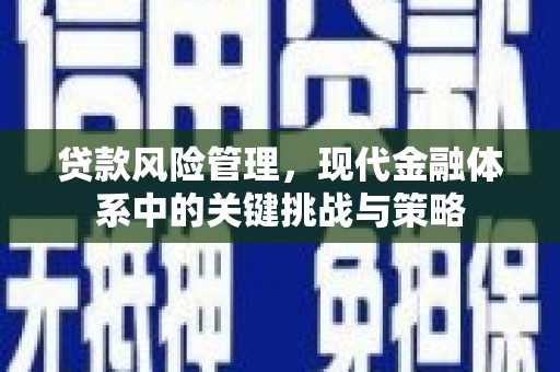 天津贷款风险管理，现代金融体系中的关键挑战与策略