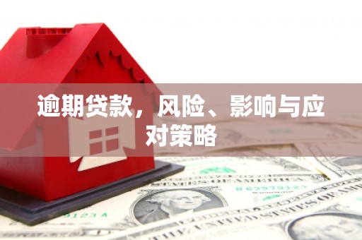 茂林逾期贷款，风险、影响与应对策略