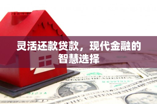 仁布灵活还款贷款，现代金融的智慧选择