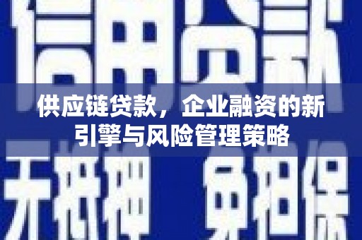 寿丰供应链贷款，企业融资的新引擎与风险管理策略