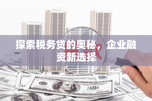 克孜勒苏柯尔克孜探索税务贷的奥秘，企业融资新选择