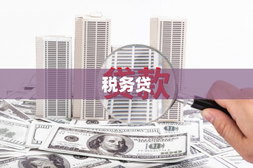 信州税务贷