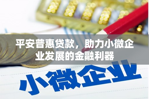 沈河平安普惠贷款，助力小微企业发展的金融利器