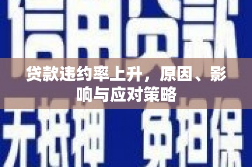 定兴贷款违约率上升，原因、影响与应对策略