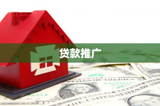 西平贷款推广