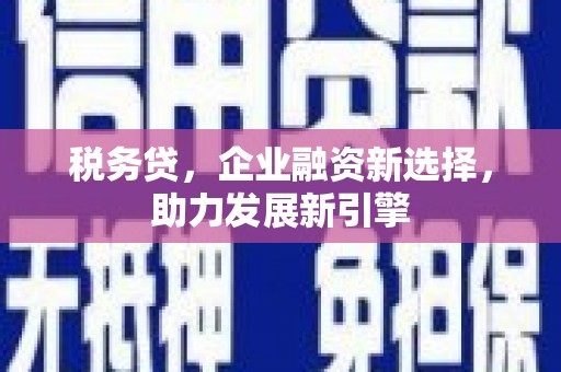 国姓税务贷，企业融资新选择，助力发展新引擎