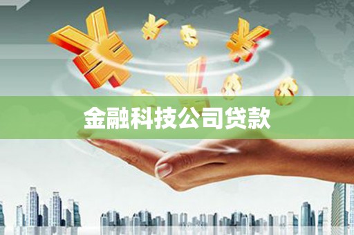 和静金融科技公司贷款