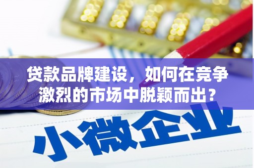 遂昌贷款品牌建设，如何在竞争激烈的市场中脱颖而出？