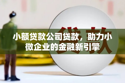 元长小额贷款公司贷款，助力小微企业的金融新引擎
