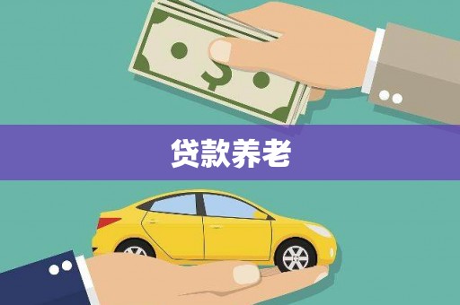 南陵贷款养老
