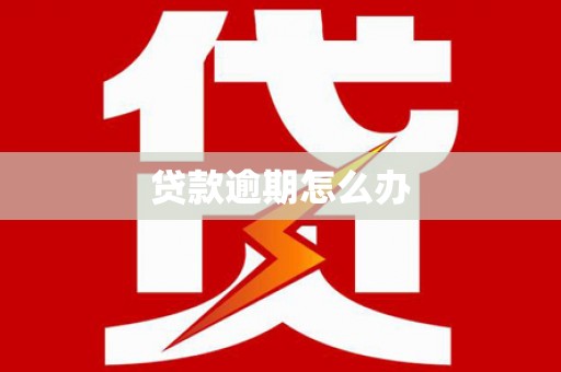 凤林贷款逾期怎么办