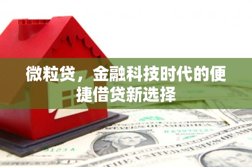 项城微粒贷，金融科技时代的便捷借贷新选择