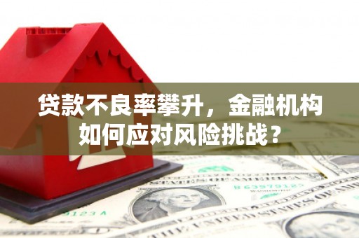 文圣贷款不良率攀升，金融机构如何应对风险挑战？
