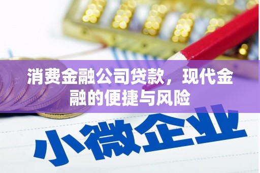 丹凤消费金融公司贷款，现代金融的便捷与风险